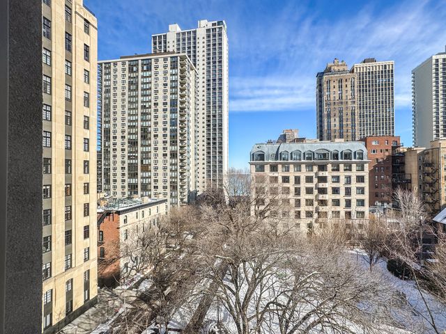 1260 N Astor Street 7, Chicago, IL 60610