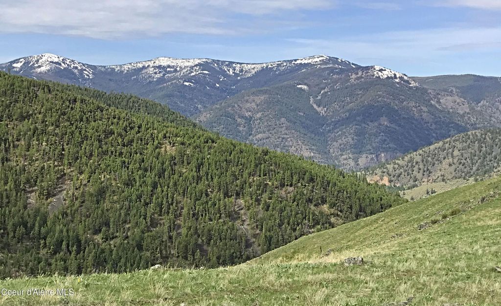 NHA McLaughlin Creek Rd, Plains, MT 59859