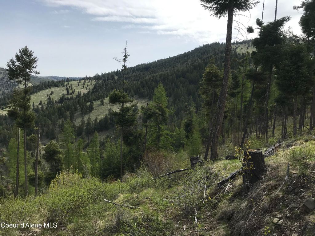 NHA McLaughlin Creek Rd, Plains, MT 59859 photo 12