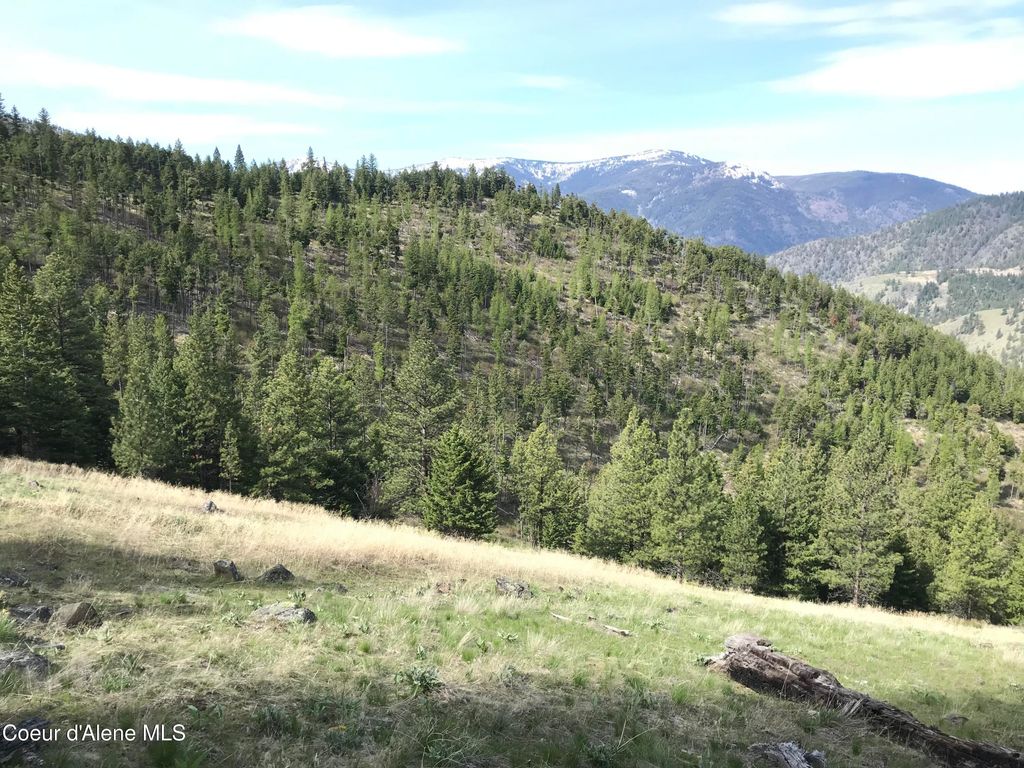 NHA McLaughlin Creek Rd, Plains, MT 59859 photo 13