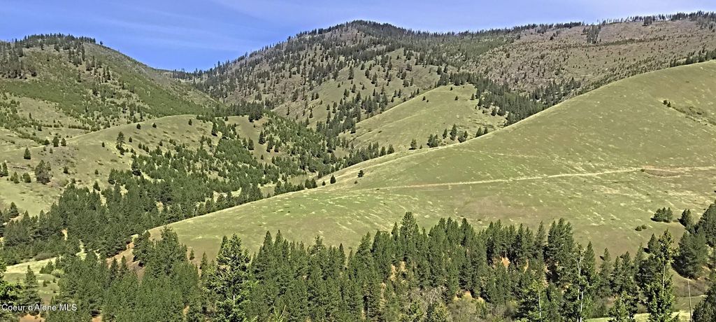 NHA McLaughlin Creek Rd, Plains, MT 59859 photo 14