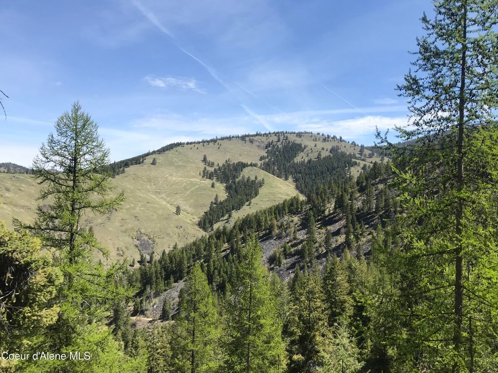 NHA McLaughlin Creek Rd, Plains, MT 59859 photo 15