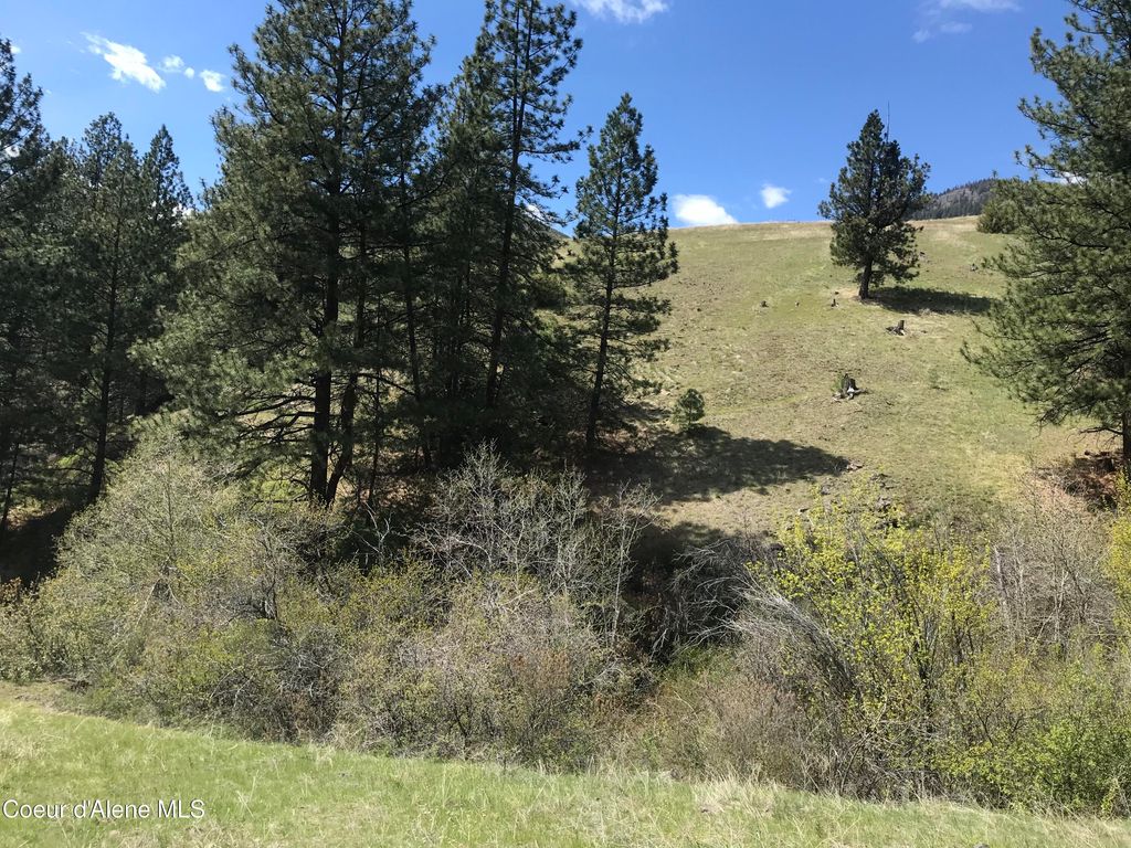 NHA McLaughlin Creek Rd, Plains, MT 59859 photo 17