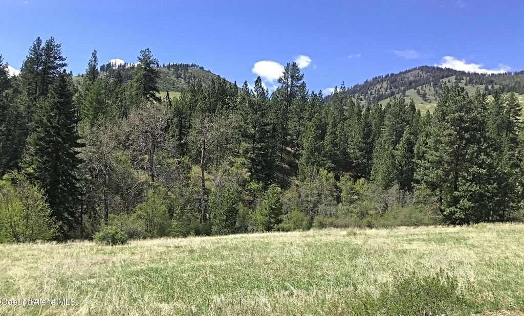 NHA McLaughlin Creek Rd, Plains, MT 59859 photo 18