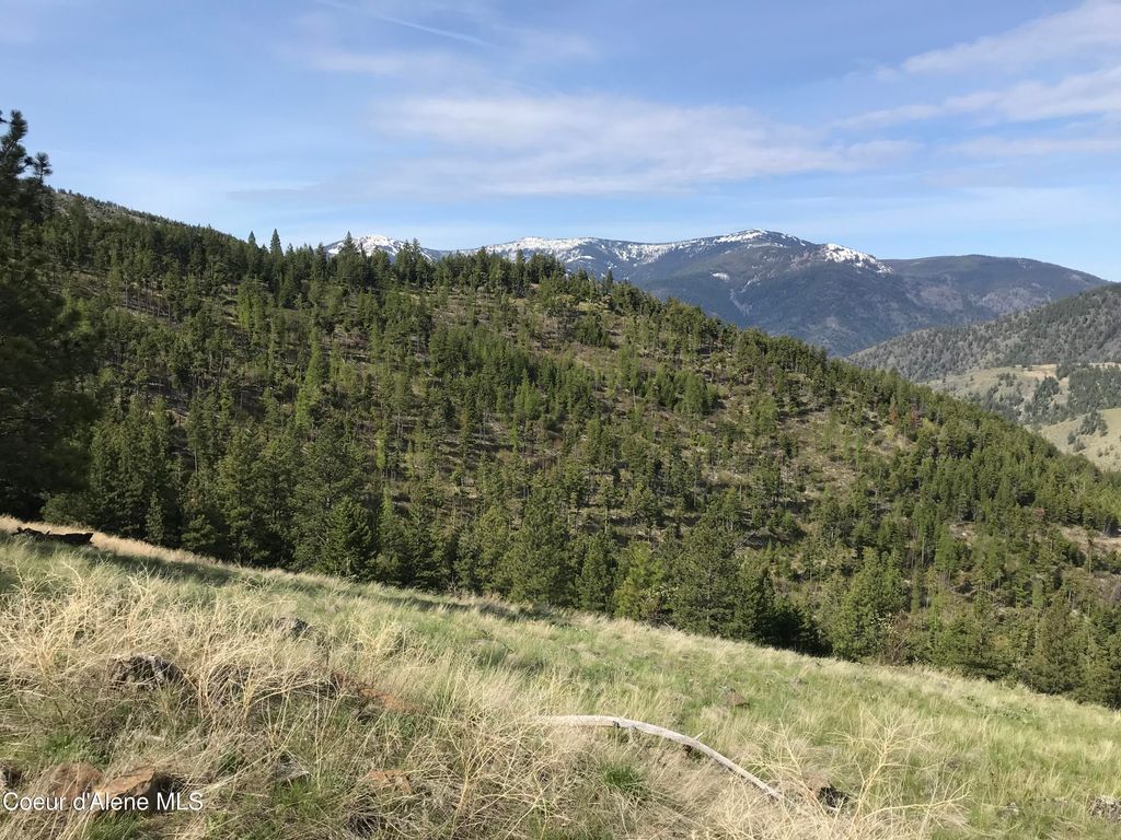 NHA McLaughlin Creek Rd, Plains, MT 59859 photo 2