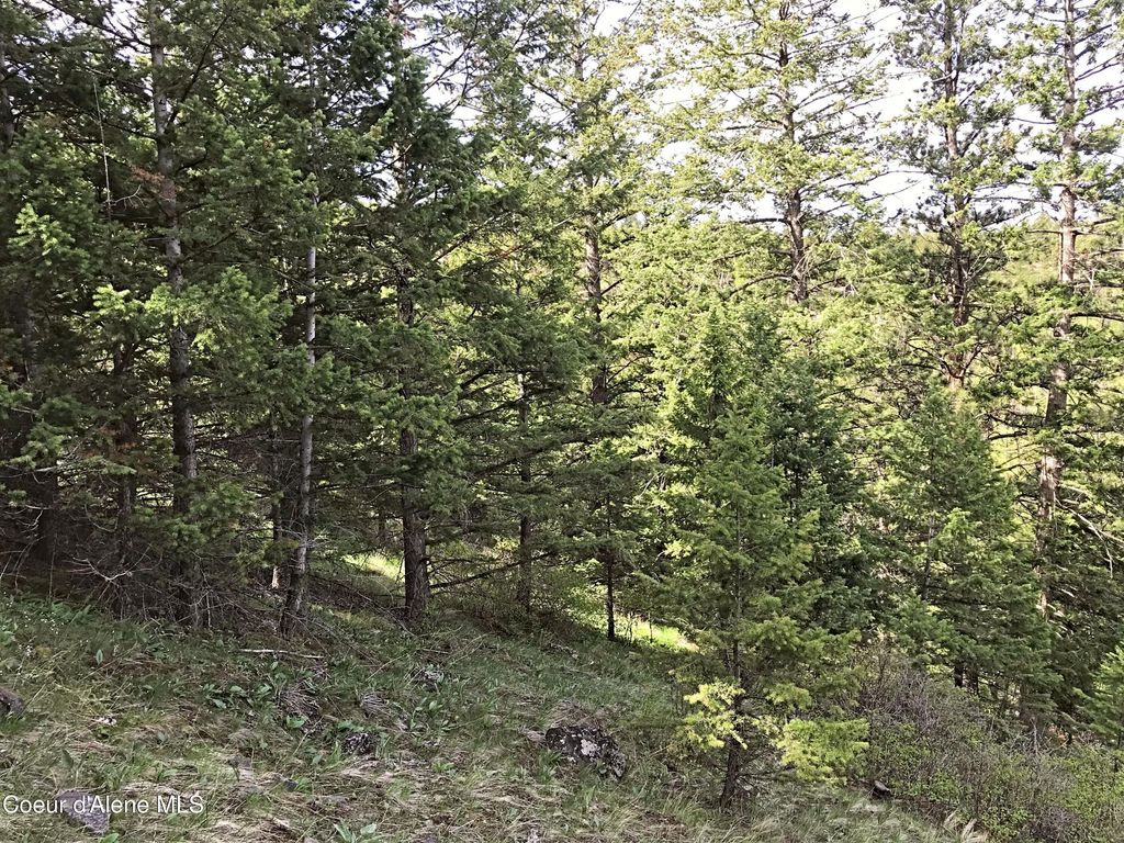 NHA McLaughlin Creek Rd, Plains, MT 59859 photo 5