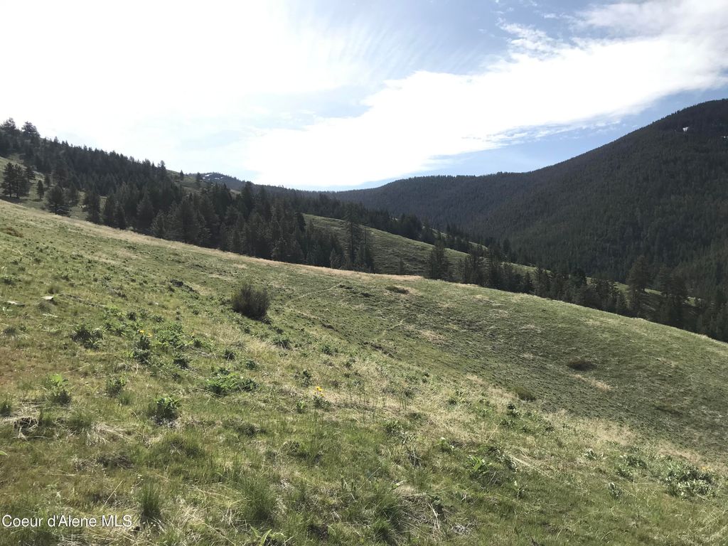 NHA McLaughlin Creek Rd, Plains, MT 59859 photo 8