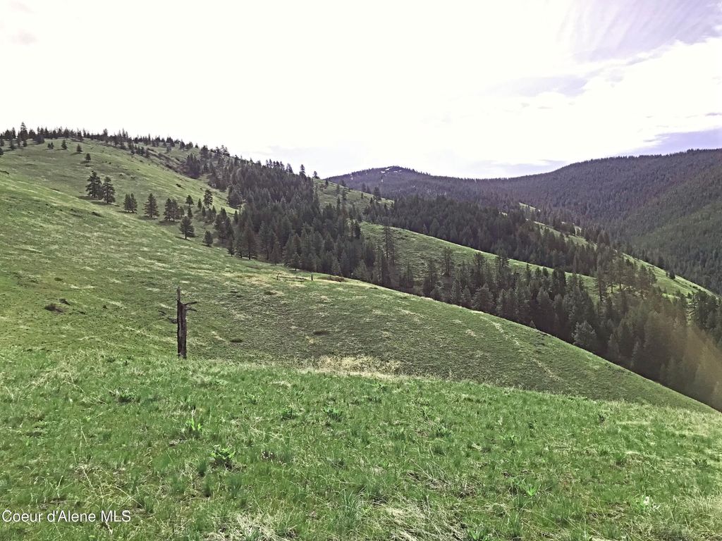 NHA McLaughlin Creek Rd, Plains, MT 59859 photo 9