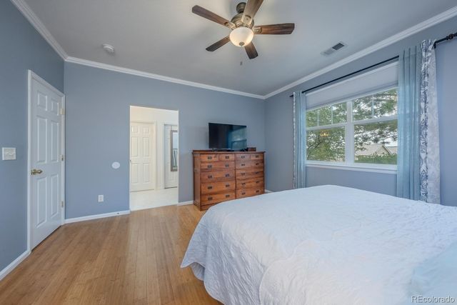 4211 Miners Candle Place, Castle Rock, CO 80109