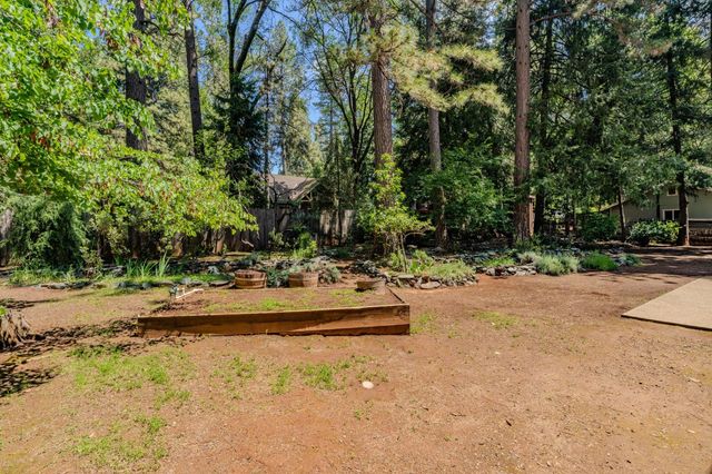 23901 Carson Dr, Pioneer, CA 95666