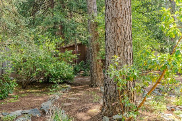 23901 Carson Dr, Pioneer, CA 95666