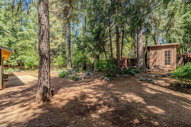 23901 Carson Dr, Pioneer, CA 95666