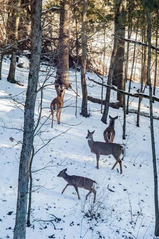 22450 Kodiak ROAD, Kendall, WI 54638