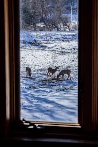 22450 Kodiak ROAD, Kendall, WI 54638