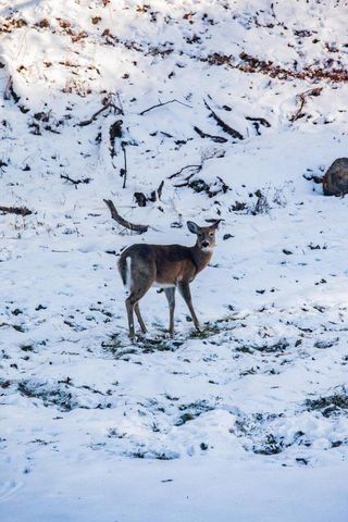 22450 Kodiak ROAD, Kendall, WI 54638