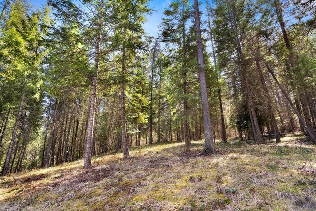 2129 Dry Creek Rd, Chewelah, WA 99109