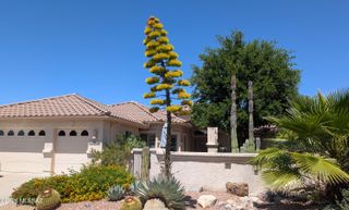 62928 E Harmony Drive, Tucson, AZ 85739