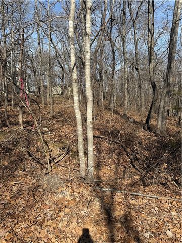 11 Pamela Lane, Bella Vista, AR 72715