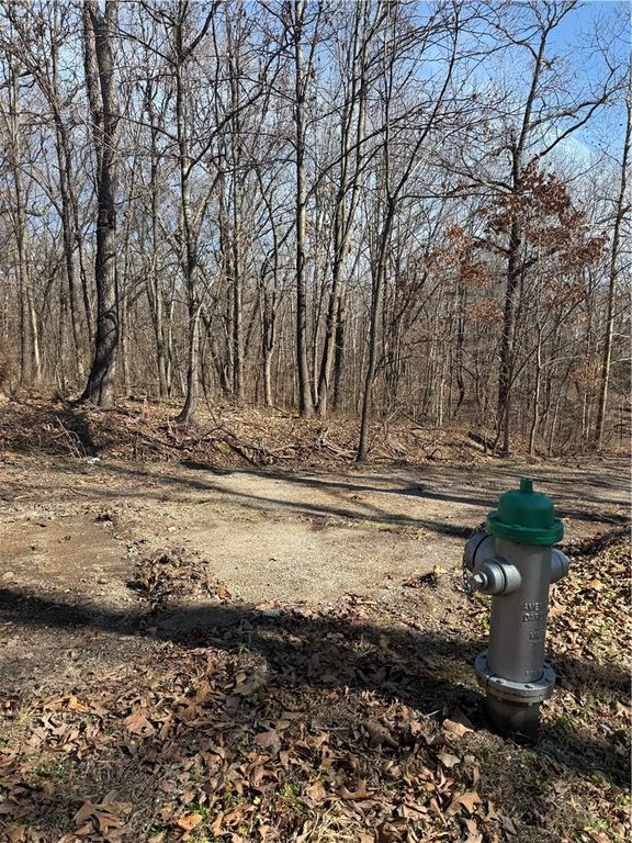 11 Pamela Lane, Bella Vista, AR 72715