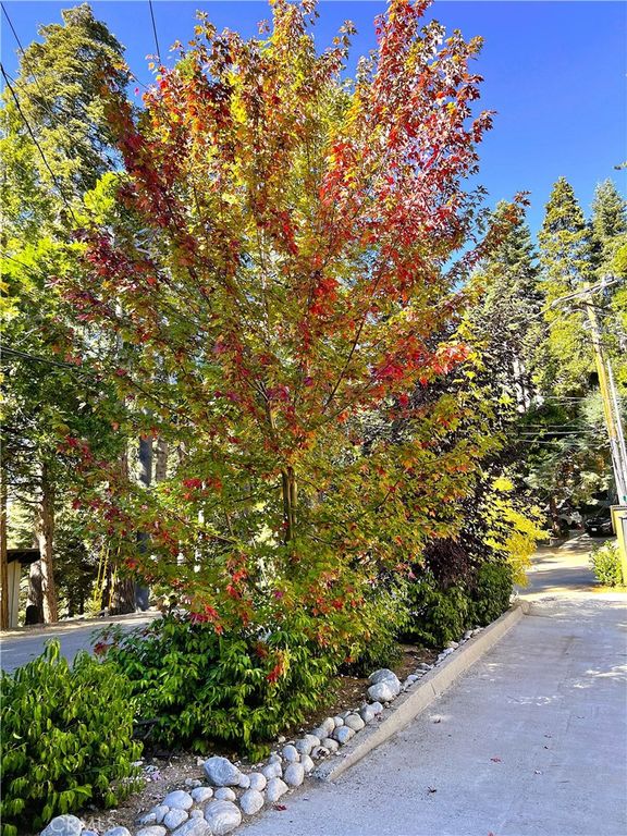 Image 23 of property listing at 863 Oak, Lake Arrowhead, CA 92385
