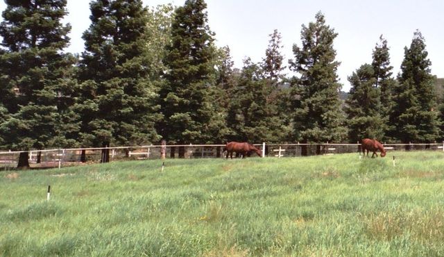 13587 Garden Bar Rd, Grass Valley, CA 95949