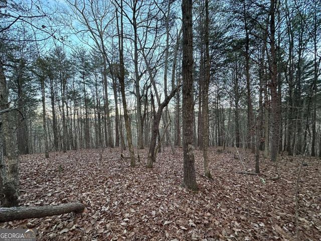 810 Bagwell Trail, Waleska, GA 30183