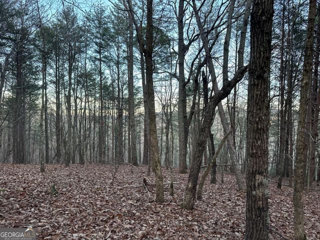 810 Bagwell Trail, Waleska, GA 30183