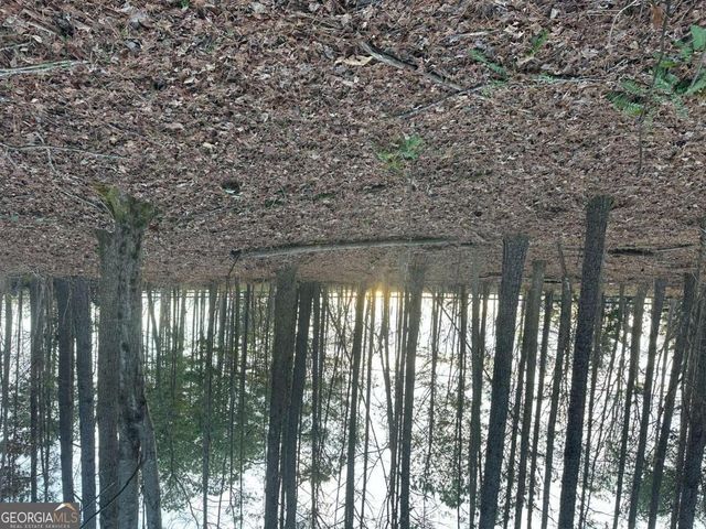 810 Bagwell Trail, Waleska, GA 30183