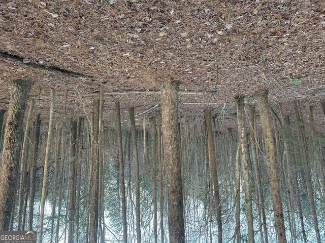 810 Bagwell Trail, Waleska, GA 30183