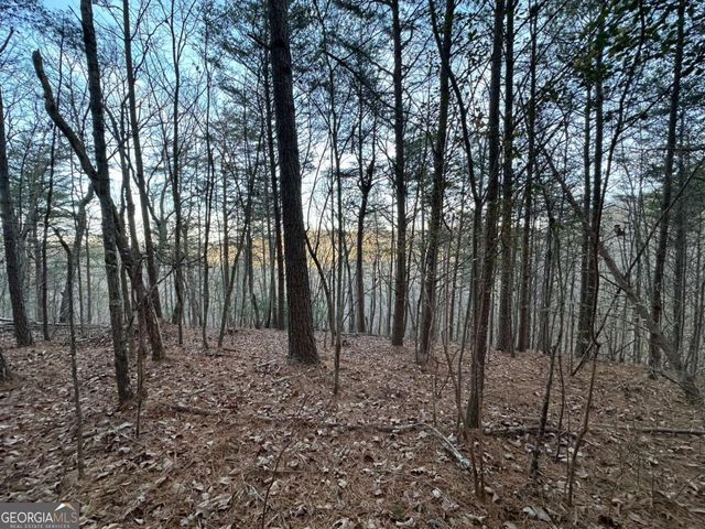 810 Bagwell Trail, Waleska, GA 30183