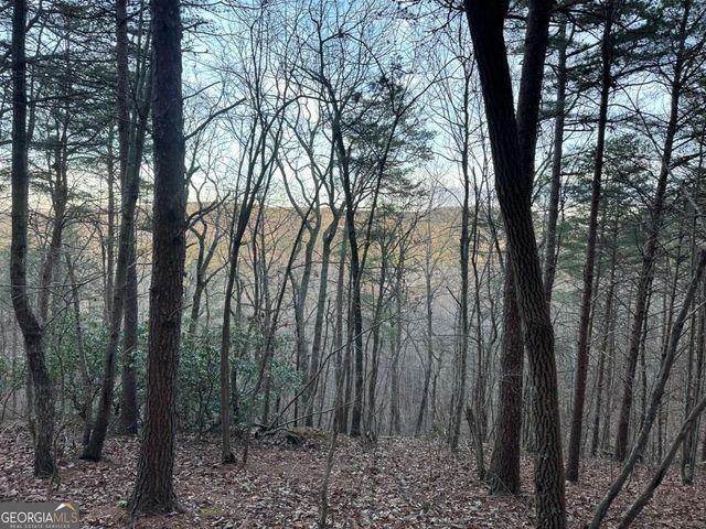 810 Bagwell Trail, Waleska, GA 30183