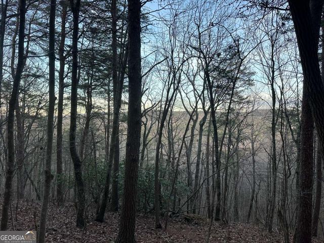 810 Bagwell Trail, Waleska, GA 30183