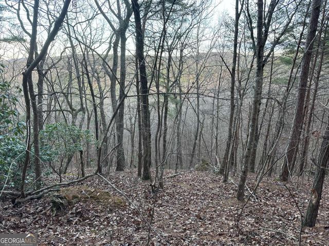 810 Bagwell Trail, Waleska, GA 30183