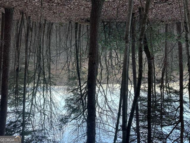 810 Bagwell Trail, Waleska, GA 30183