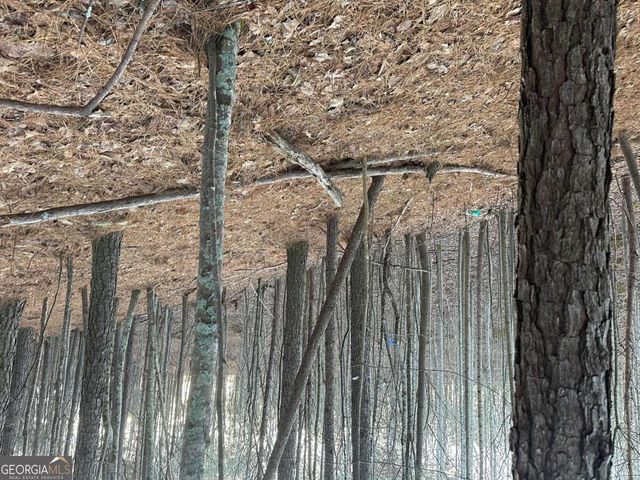 810 Bagwell Trail, Waleska, GA 30183