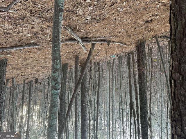 810 Bagwell Trail, Waleska, GA 30183