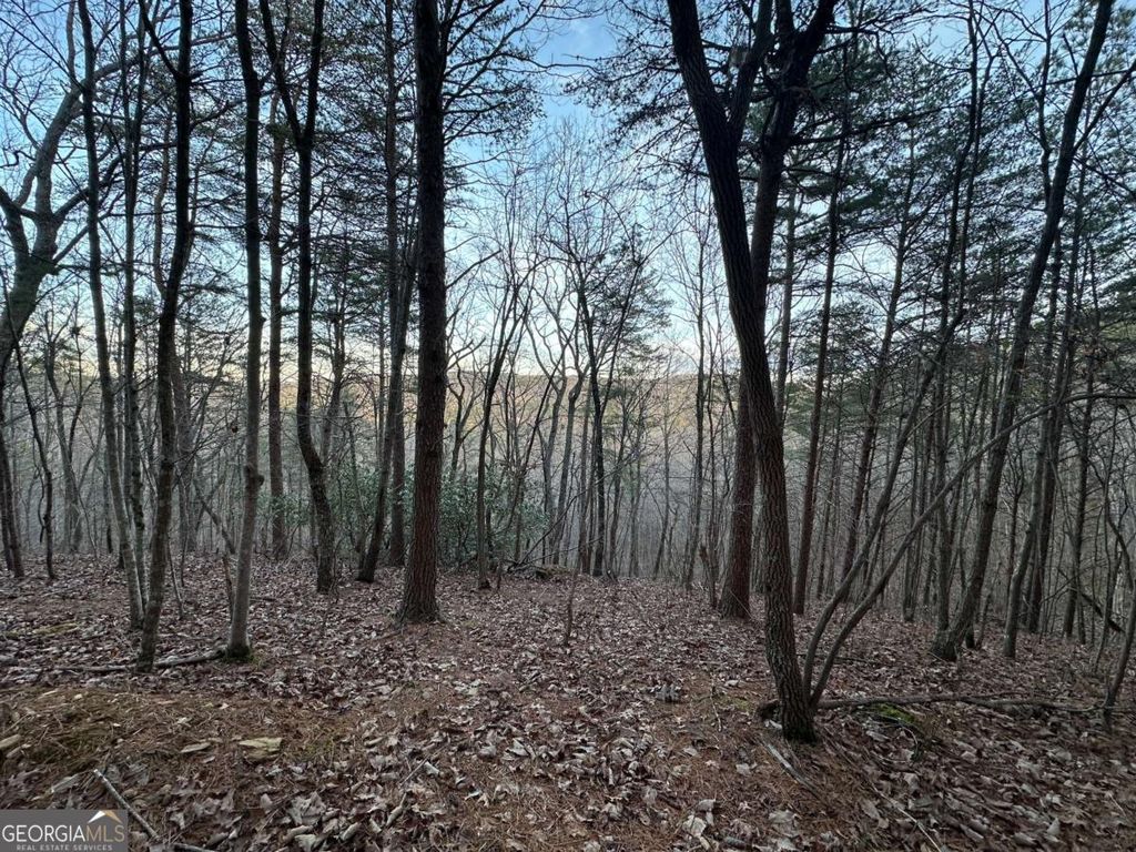 810 Bagwell Trail, Waleska, GA 30183