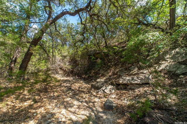 1239 Mystic Breeze, Spring Branch, TX 78070