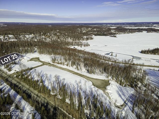20298 W Kvichak Circle, Big Lake, AK 99652