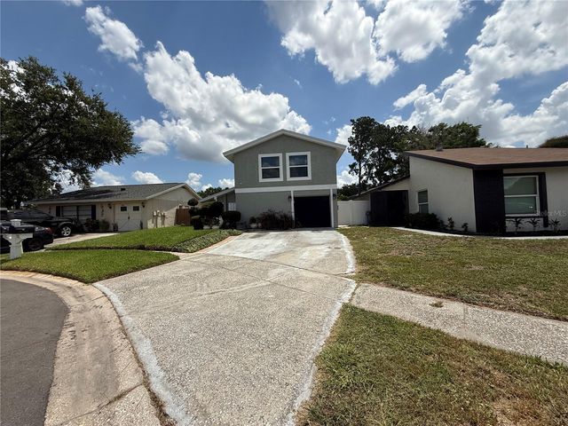 10009 REGAL WOODS LANE, Tampa, FL 33624