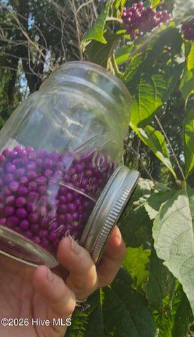 2659 Seashore Road SW, Supply, NC 28462