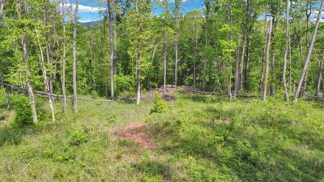 0 Forest Circle, Sparta, TN 38583