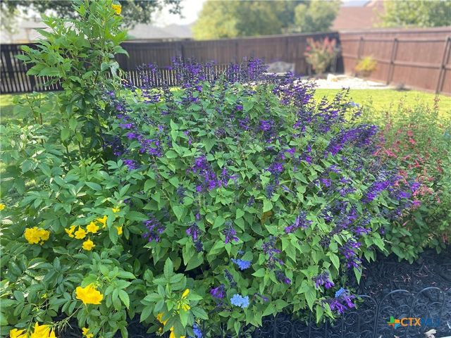 1001 High Plains Drive, Nolanville, TX 76559