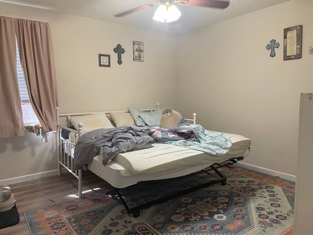 2408 Spruce Court, Little Elm, TX 75068