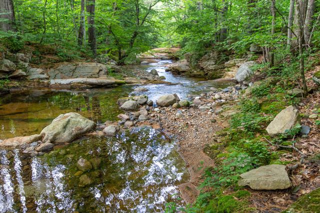 13 Mill Road, Tamworth, NH 03883