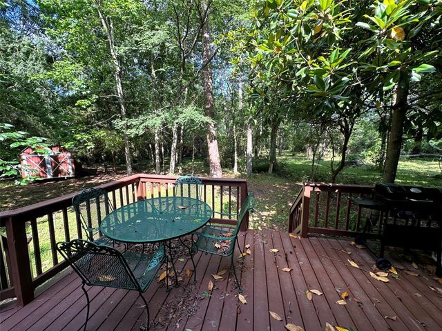 12289 Thompson Road, Willis, TX 77318