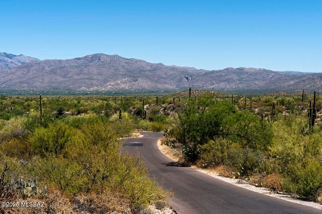 11040 S Guillermo Haro Drive, Vail, AZ 85641
