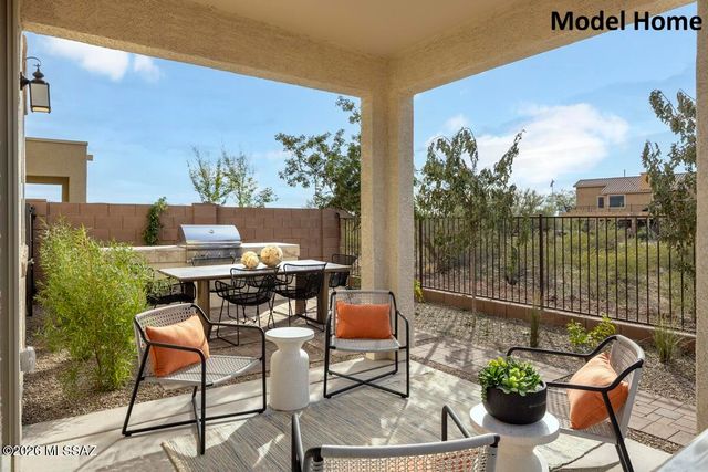 11040 S Guillermo Haro Drive, Vail, AZ 85641