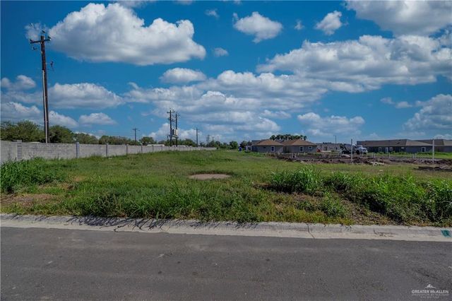 000 Medina Lane, Alamo, TX 78516