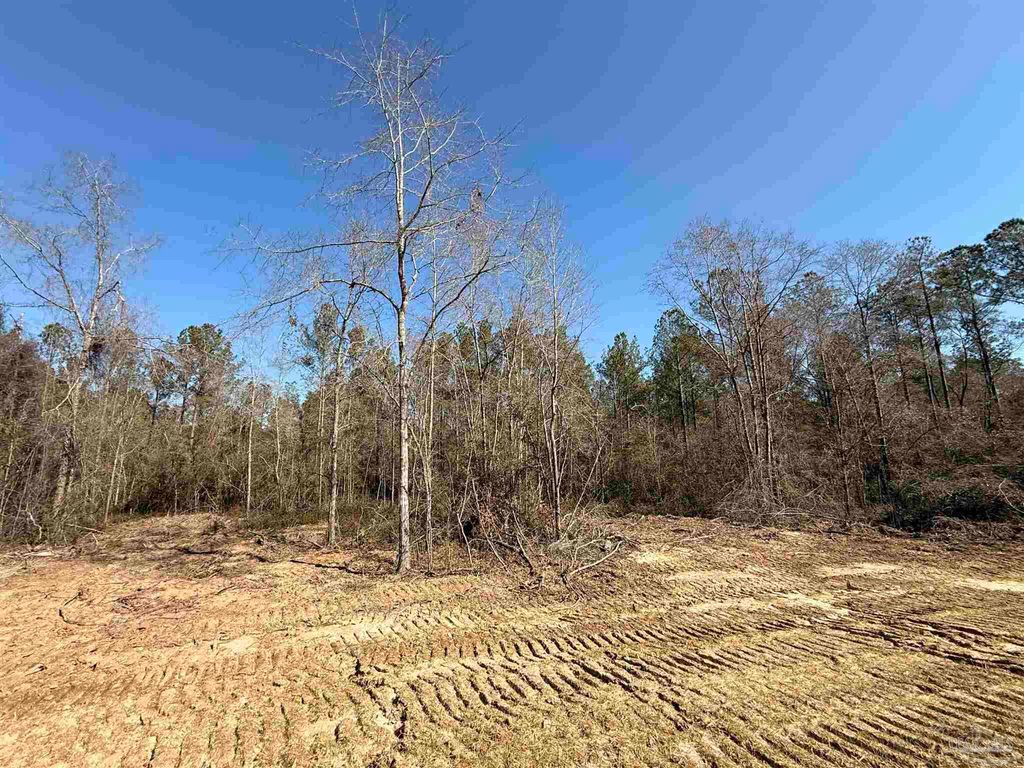 Lot 16 Brook Crossing St, Pace, FL 32571